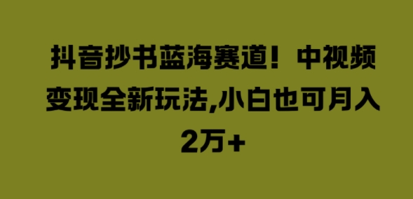 抖音抄书蓝海赛道，中视频变现全新玩法，小白也可月入2W+-观智斋电商课程站
