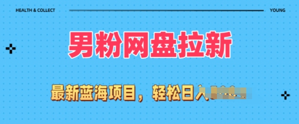全网最新男粉项目，网盘拉新玩法，小白也可上手操作-观智斋电商课程站