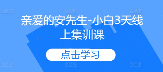 亲爱的安先生-小白3天线上集训课-观智斋电商课程站