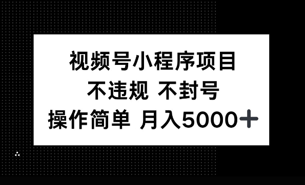 视频号小程序项目，不违规不封号，操作简单 月入5000+-观智斋电商课程站