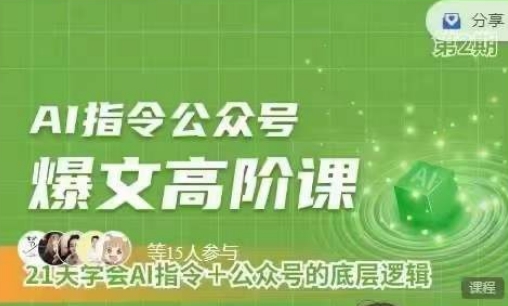 Ai指令公众号高阶课，学会ai指令+公众号的底层逻辑-观智斋电商课程站