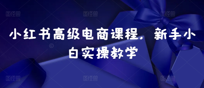 小红书高级电商课程，新手小白实操教学-观智斋电商课程站