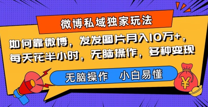 如何靠微博，发发图片月入10万+，‌每天花半小时，无脑操作，多种变现-观智斋电商课程站
