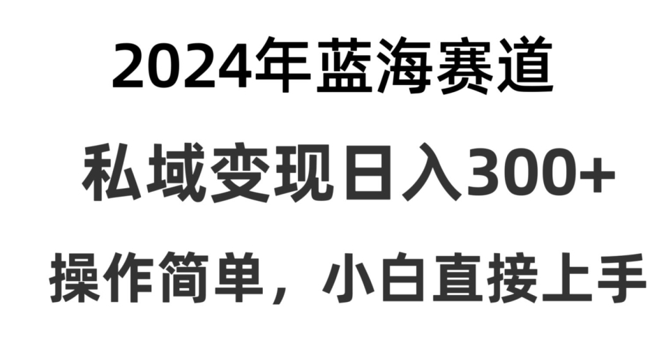 2024抖音蓝海赛道，私域变现日入300+，操作简单，每年只需一小时，纯小白可直接上手-观智斋电商课程站