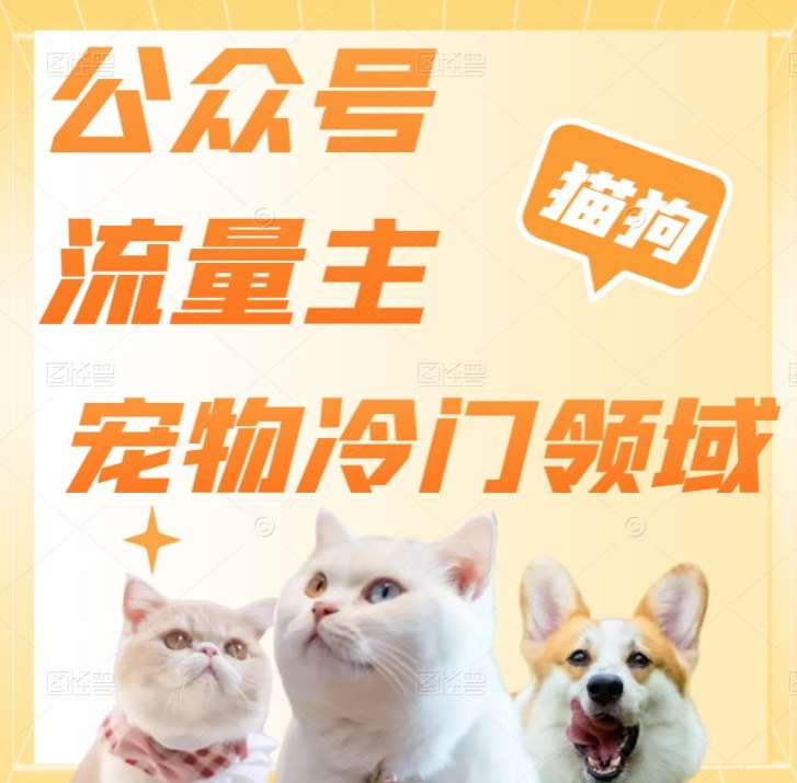 公众号流量主，萌宠冷门领域，单日收益2000+，简单暴力掘金，矩阵操作，无限放大收益！-观智斋电商课程站