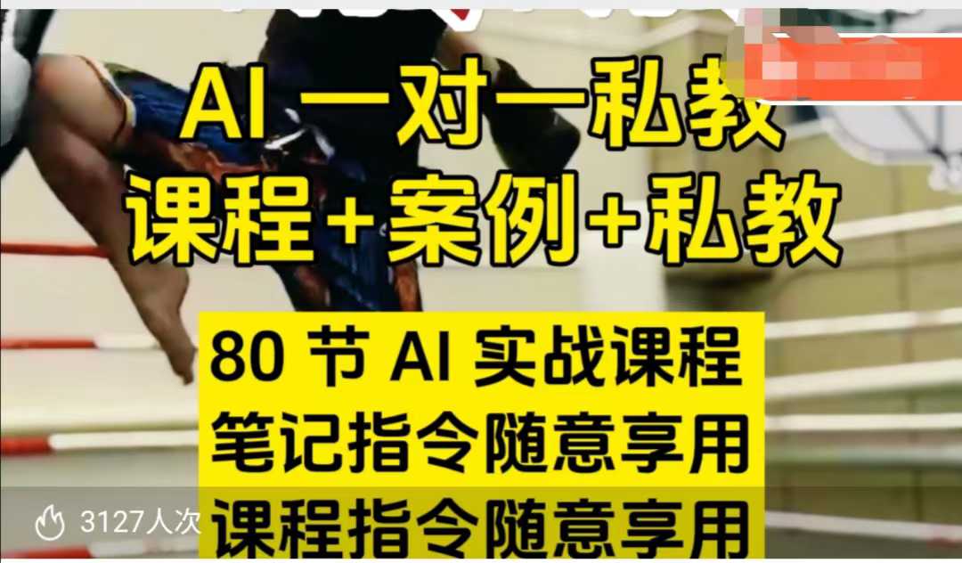 AI指令实战课，课程+案例，80节AI实战课程，笔记指令随意享用，课程指令随意享用-观智斋电商课程站