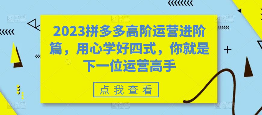 2023拼多多高阶运营进阶篇，用心学好四式，你就是下一位运营高手-观智斋电商课程站