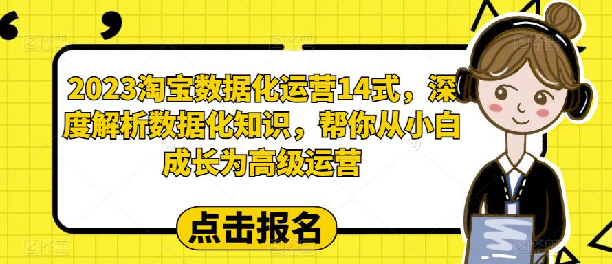 2023淘宝数据化运营14式，深度解析数据化知识，帮你从小白成长为高级运营-观智斋电商课程站