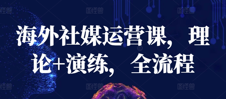 海外社媒运营课，理论+演练，全流程-观智斋电商课程站