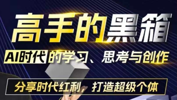 高手的黑箱：AI时代学习、思考与创作-分红时代红利，打造超级个体-观智斋电商课程站