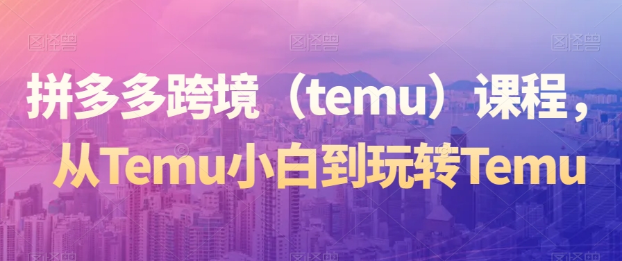 拼多多跨境（temu）课程，从Temu小白到玩转Temu-观智斋电商课程站