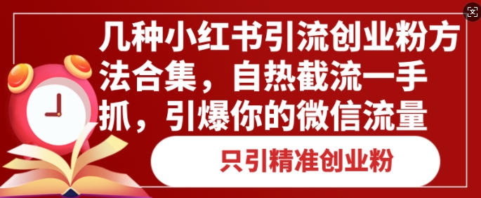 几种小红书引流创业粉方法合集，自热截流一手抓，引爆你的微信流量-观智斋电商课程站