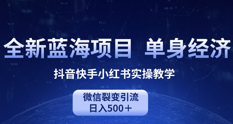 全新蓝海项目，单身经济抖音快手小红书实操教学，微信裂变引流日入500＋-观智斋电商课程站