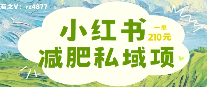 小红书减肥粉，私域变现项目，一单就达210元，小白也能轻松上手【揭秘】-观智斋电商课程站