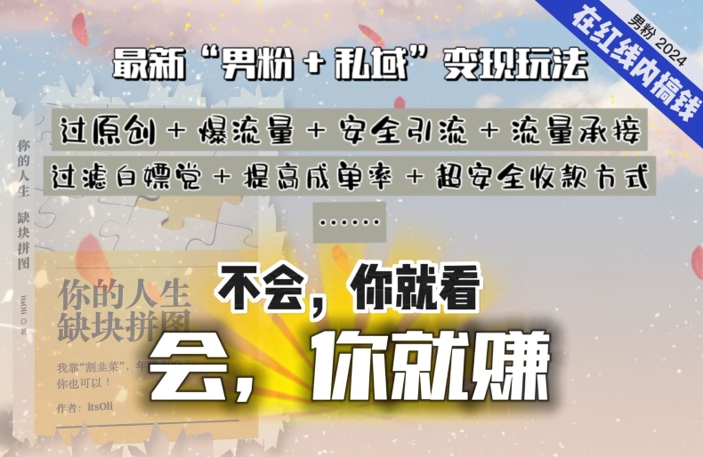 2024，“男粉+私域”还是最耐造、最赚、最轻松、最愉快的变现方式【揭秘】-观智斋电商课程站