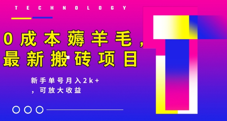 0成本薅羊毛，最新搬砖项目，新手单号月入2k+，可放大操作-观智斋电商课程站