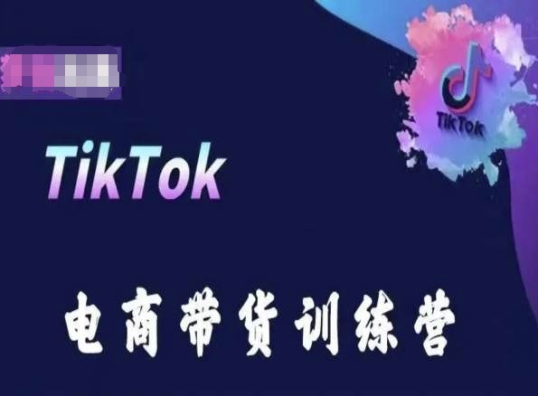 TikTok电商带货训练营，跟随时代潮流，跨境掘金-观智斋电商课程站