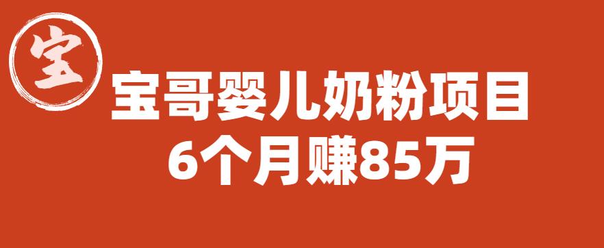 宝哥婴儿奶粉项目，6个月赚85w【图文非视频】【揭秘】-观智斋电商课程站