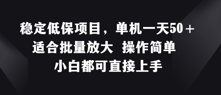 稳定低保项目，单机一天50+适合批量放大 操作简单 小白都可直接上手【揭秘】-观智斋电商课程站