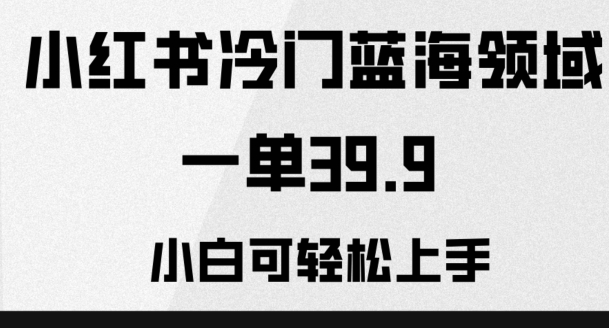 小红书冷门蓝海领域，一单39.9，小白可轻松上手-观智斋电商课程站
