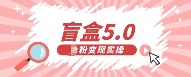 盲盒交友5.0，男粉变现实操项目，亲测变现效果极好【揭秘】-观智斋电商课程站