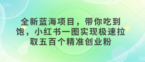 全新蓝海项目，带你吃到饱，小红书一图实现极速拉取五百个精准创业粉-观智斋电商课程站