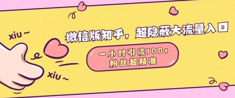 微信版知乎，超隐蔽流量入口1小时引流100人，粉丝质量超高【揭秘】-观智斋电商课程站