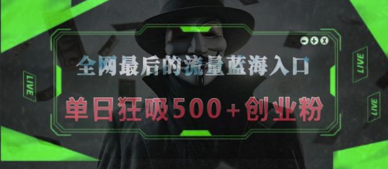全网最后的流量蓝海入口，半小时引流50+创业粉，单日狂吸500+创业粉-观智斋电商课程站