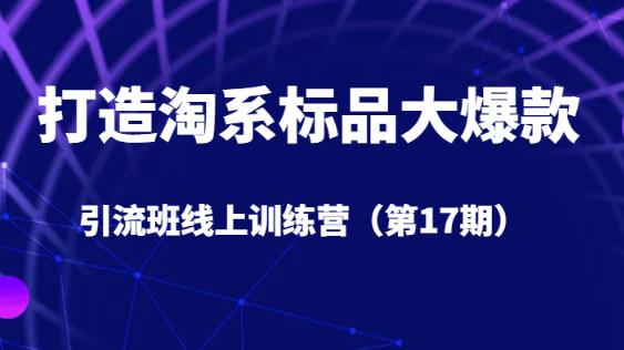 打造淘系标品大爆款引流班线上训练营（第17期）5天直播授课-观智斋电商课程站