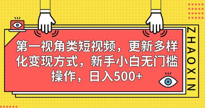 第一视角类短视频，更新多样化变现方式，新手小白无门槛操作，日入500+【揭秘】-观智斋电商课程站