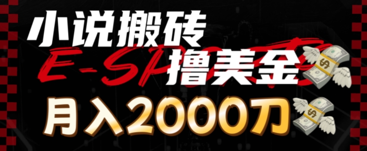 小说搬砖撸美刀，月入2000刀-观智斋电商课程站