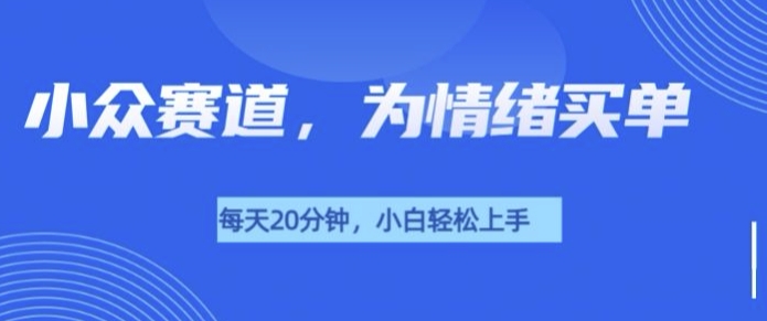 小众赛道，我的治愈系电子抱枕，让用户为情绪买单-观智斋电商课程站
