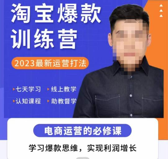 爱上黄昏·淘宝爆款训练营，2023最新运营打法，学习爆款思维，实现利润增长-观智斋电商课程站