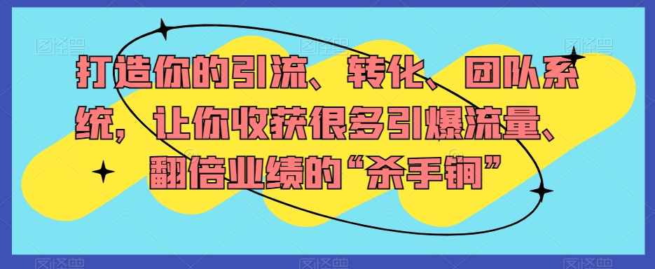 打造你的引流、转化、团队系统，让你收获很多引爆流量、翻倍业绩的“杀手锏”-观智斋电商课程站