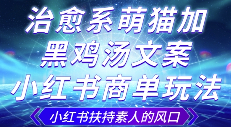 治愈系萌猫加+黑鸡汤文案，小红书商单玩法，3~10天涨到1000粉，一单200左右-观智斋电商课程站