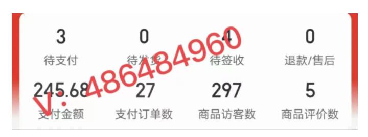 淘k·拼多多虚拟开店打卡群：一群人同行快过一个人单独摸索（昨日群里有小伙伴日入3000+）【更新至0226】-观智斋电商课程站