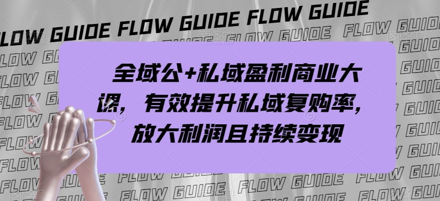 全域公+私域盈利商业大课，有效提升私域复购率，放大利润且持续变现-观智斋电商课程站
