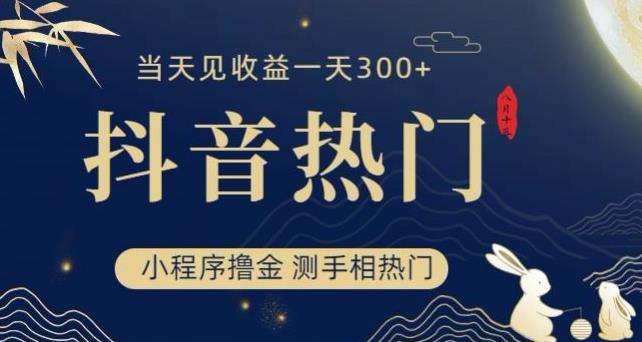 抖音最新小程序撸金，测手相上热门，当天见收益一小时变现300+【揭秘】-观智斋电商课程站