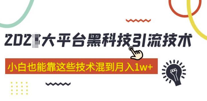 大平台黑科技引流技术，小白也能靠这些技术混到月入1w+(2022年的课程）-观智斋电商课程站