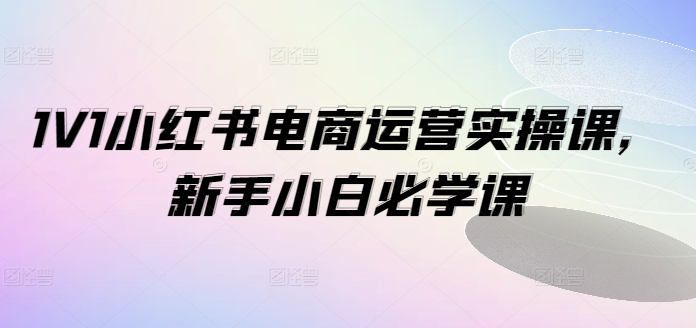 1V1小红书电商运营实操课，新手小白必学课-观智斋电商课程站