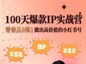 小红书100天爆款IP实战营，带你从0到1做出高价值的小红书号-观智斋电商课程站