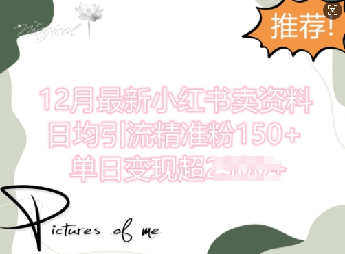 12月最新小红书日均引流精准粉100+，单日变现多张-观智斋电商课程站