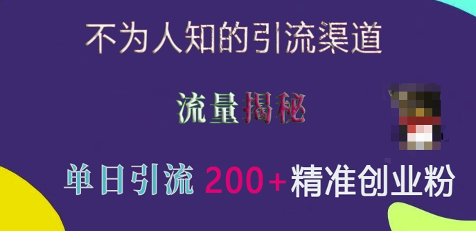 不为人知的引流渠道，流量揭秘，实测单日引流200+精准创业粉【揭秘】-观智斋电商课程站