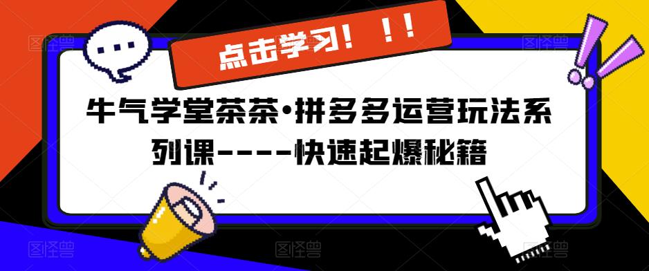 牛气学堂茶茶•拼多多运营玩法系列课—-快速起爆秘籍【更新】-观智斋电商课程站