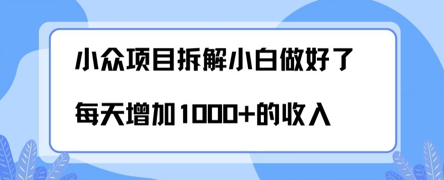 小众项目拆解，小白做好了每天可增加1000多的收入-观智斋电商课程站