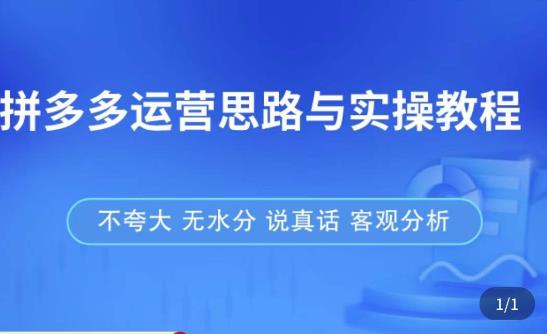 拼多多店铺运营思路与实操教程，快速学会拼多多开店和运营，少踩坑，多盈利-观智斋电商课程站