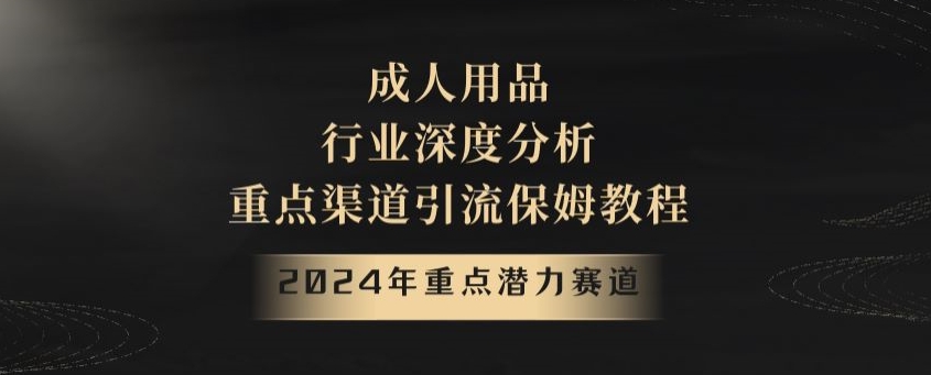 2024年重点潜力赛道，成人用品行业深度分析，重点渠道引流保姆教程【揭秘】-观智斋电商课程站