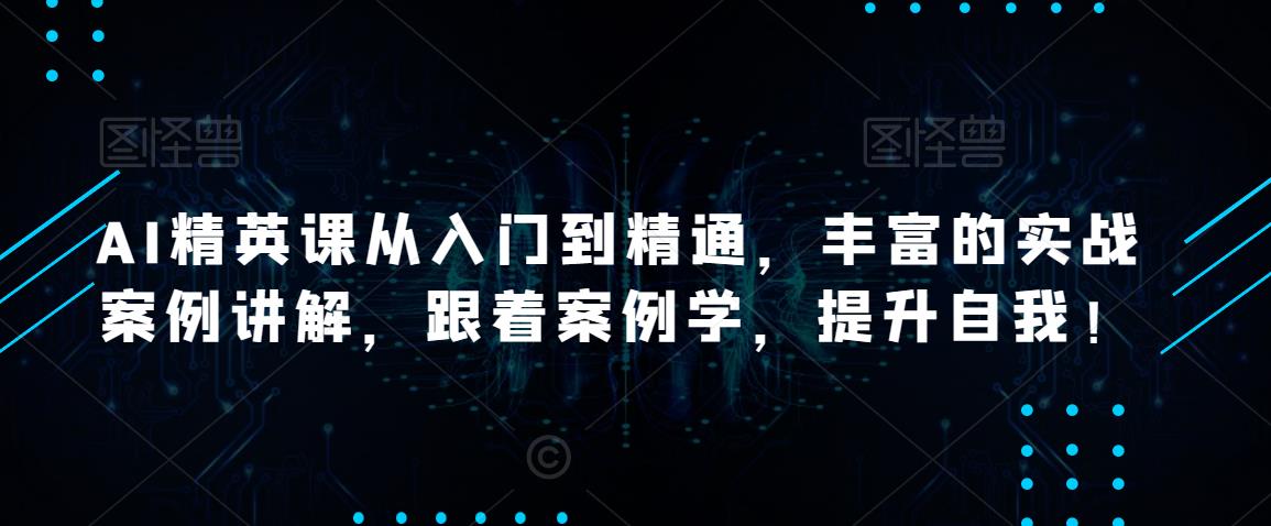 AI精英课从入门到精通，丰富的实战案例讲解，跟着案例学，提升自我！-观智斋电商课程站