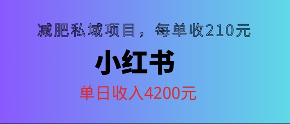 小红书减肥私域项目，每单210元，单日可卖出15单，利润3150-观智斋电商课程站
