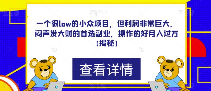 一个很low的小众项目，但利润非常巨大，闷声发大财的首选副业，操作的好月入过万【揭秘】-观智斋电商课程站